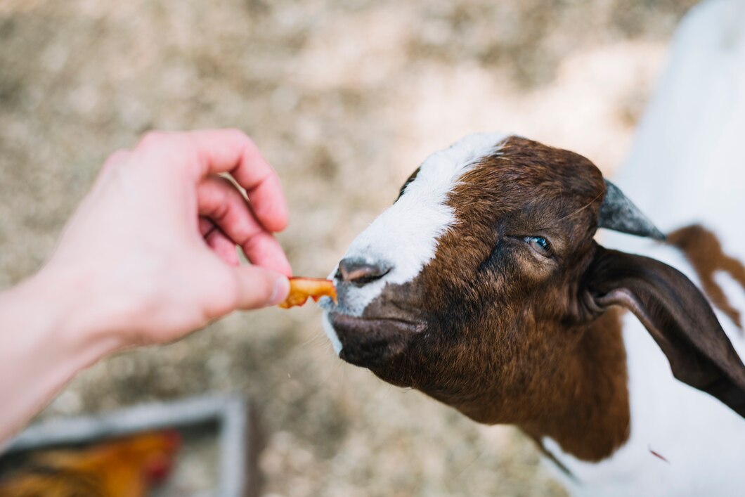 Clean up lice control for cattle