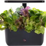 indoor hydroponic garden system