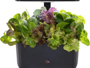 indoor hydroponic garden system